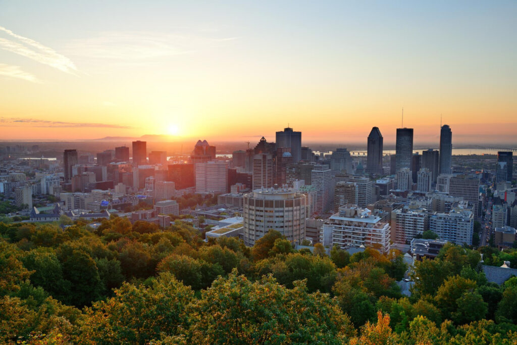 Vue d'une ville avec gratte-ciel, avec des arbres en premier plan et avec couché de soleil en arrière plan
