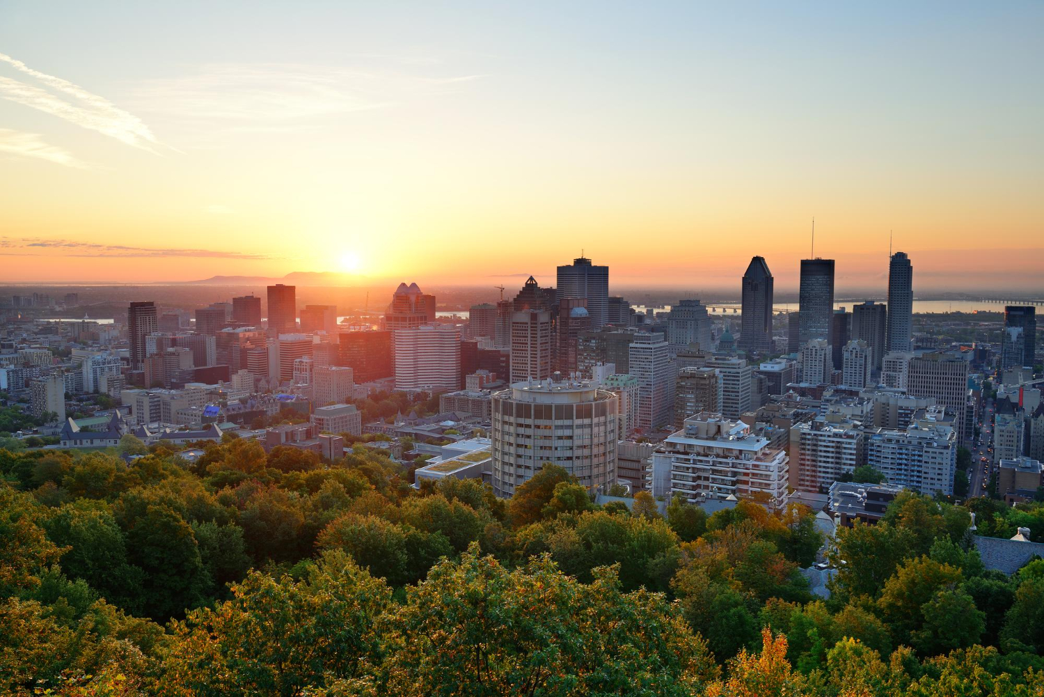 Vue d'une ville avec gratte-ciel, avec des arbres en premier plan et avec couché de soleil en arrière plan